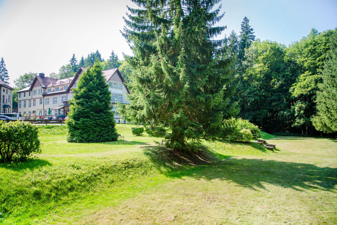 Waldhotel Friedrichroda Waldhotel Friedrichroda